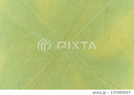 淡い緑色の紙テクスチャ背景 137069507
