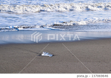 大津海岸　ジュエリーアイス 137069646