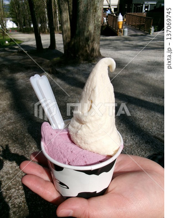 手のひらに乗るジェラート、アイスクリーム 手のひらに乗るジェラート、アイスクリーム 137069745