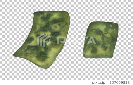 Two thin dried dark green nori seaweed leaves clip art watercolor illustration on isolated background. Single algae sheet, Japanese healthy seafood ingredient for sushi, healthy eating concept. Two thin dried dark green nori seaweed leaves clip art watercolor illustration on isolated background. Single algae sheet, Japanese healthy seafood ingredient for sushi, healthy eating concept. 137069838