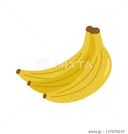 Bunch of ripe yellow bananas. Vector illustration. 137070247