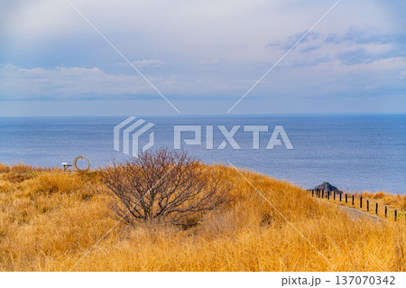 （静岡県）奥石廊ユウスゲ公園の展望 137070342