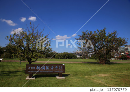 相模国分寺跡 相模国分寺跡 137070779