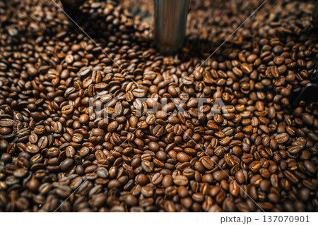 Raw coffee beans drying on raised beds in a traditional Raw coffee beans drying on raised beds in a traditional 137070901