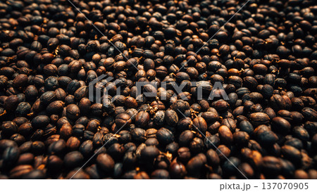 Close up texture of natural process dried coffee cherries. Close up texture of natural process dried coffee cherries. 137070905