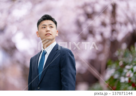 フレッシャーズ　スーツの若い男性　見上げる 137071144
