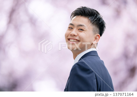 フレッシャーズ　スーツの若い男性　桜 137071164