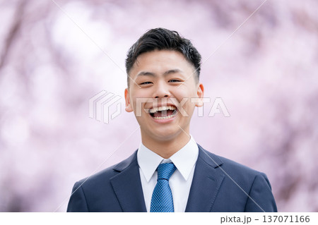フレッシャーズ スーツの若い男性 桜 フレッシャーズ スーツの若い男性 桜 137071166