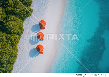 Aerial View of Family Enjoying Tropical Beach with Colorful Umbrellas and Clear Water 137071434