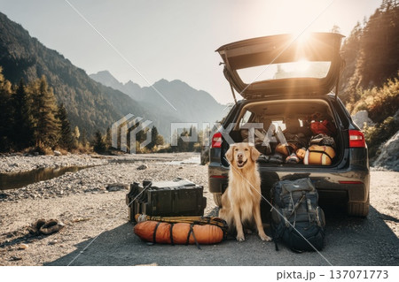 Dog Enjoys Scenic Nature View from Car Trunk with Luggage and Mountains in the Background Dog Enjoys Scenic Nature View from Car Trunk with Luggage and Mountains in the Background 137071773