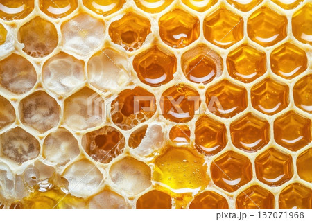 Fresh Honeycomb Display with Dripping Honey in Visually Striking Arrangement 137071968