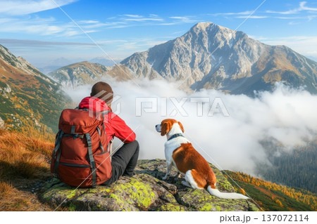 Traveler with Backpack Taking Rest on Mountaintop with Dog and Scenic View 137072114