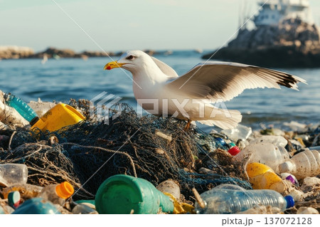 Seagull Standing on Tangled Fishing Net Amid Ocean Pollution and Plastic Waste 137072128