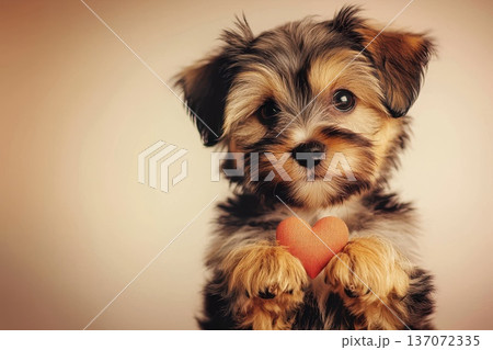 Adorable Puppy Holding Heart-Shaped Toy in Heartwarming Portrait of Love and Affection Adorable Puppy Holding Heart-Shaped Toy in Heartwarming Portrait of Love and Affection 137072335