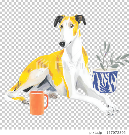 funny dog in blue scarf with scarf 137072893