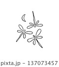Hand drawn dragonflies in Japanese style drawing 137073457