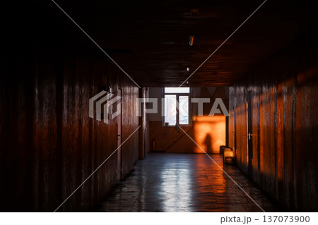 Dark wooden corridor with warm sunlight streaming through window casting long shadows and creating dramatic contrast Dark wooden corridor with warm sunlight streaming through window casting long shadows and creating dramatic contrast 137073900