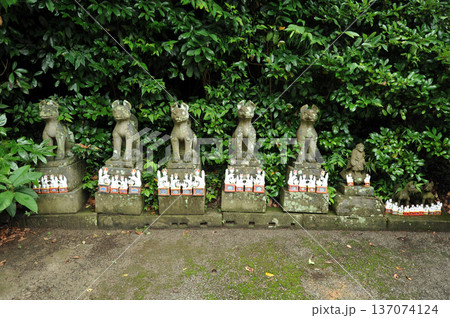 松江　城山稲荷神社 137074124