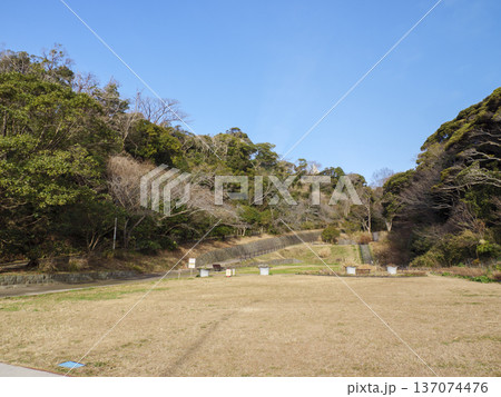 神奈川県立観音崎公園の冬 137074476