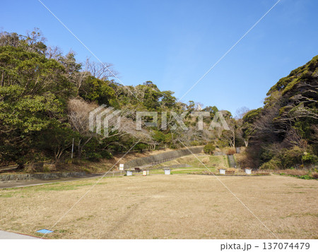 神奈川県立観音崎公園の冬 137074479