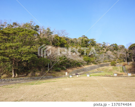 神奈川県立観音崎公園の冬 137074484