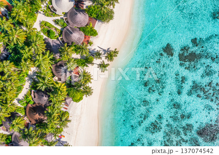 Modern Luxury Resort Aerial View with Tropical Villas and Ocean Lagoon for Bio Architecture Travel Background Modern Luxury Resort Aerial View with Tropical Villas and Ocean Lagoon for Bio Architecture Travel Background 137074542