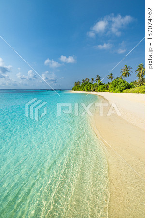 Nostalgic Vintage Tropical Beach with Palm Trees and Soft Film Colors for Aesthetic Summer Travel Mood Nostalgic Vintage Tropical Beach with Palm Trees and Soft Film Colors for Aesthetic Summer Travel Mood 137074562