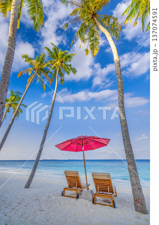Honeymoon Tropical Beach with Sunbeds and Umbrellas under Palm Trees for Romantic Ocean View Sanctuary 137074591