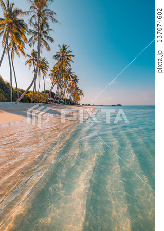 Serene Tropical Beach with Turquoise Water and White Sand for Zen Nature Background and Mindful Escape 137074602