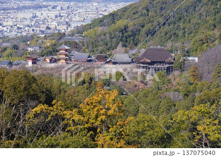 上から見る清水寺 137075040
