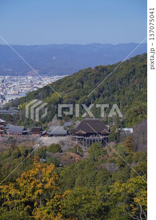 上から見る清水寺 137075041
