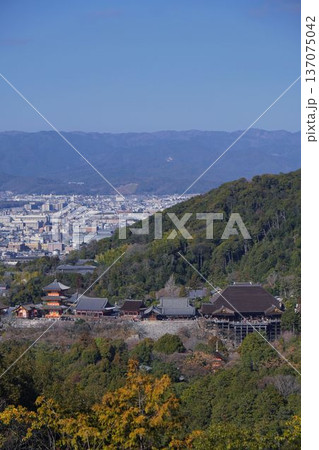 上から見る清水寺 137075042