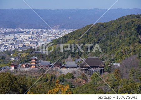 上から見る清水寺 137075043