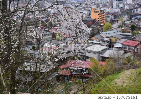 日本の岐阜県の高山市 中心部の中橋方面の美しい町並み 満開の桜と宮川と新旧の家 城山公園から見た眺め 日本の岐阜県の高山市 中心部の中橋方面の美しい町並み 満開の桜と宮川と新旧の家 城山公園から見た眺め 137075161