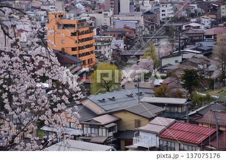 日本の岐阜県の高山市 中心部の中橋方面の美しい町並み 満開の桜と宮川と新旧の家 城山公園から見た眺め 日本の岐阜県の高山市 中心部の中橋方面の美しい町並み 満開の桜と宮川と新旧の家 城山公園から見た眺め 137075176