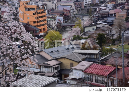 日本の岐阜県の高山市　中心部の中橋方面の美しい町並み　満開の桜と宮川と新旧の家　城山公園から見た眺め 137075179