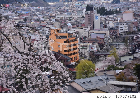 日本の岐阜県の高山市 中心部の中橋方面の美しい町並み 満開の桜と宮川と新旧の家 城山公園から見た眺め 日本の岐阜県の高山市 中心部の中橋方面の美しい町並み 満開の桜と宮川と新旧の家 城山公園から見た眺め 137075182