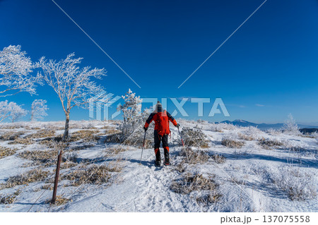 霧ヶ峰高原スノーハイク 137075558