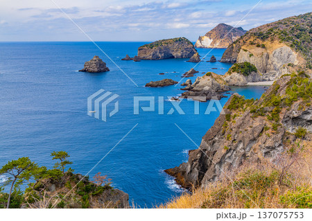 （静岡県）奥石廊あいあい岬から眺める中木地区の海岸線 137075753