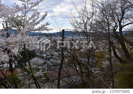 日本の岐阜県の高山市 中心部の中橋方面の美しい町並み 満開の桜と宮川と新旧の家 城山公園から見た眺め 日本の岐阜県の高山市 中心部の中橋方面の美しい町並み 満開の桜と宮川と新旧の家 城山公園から見た眺め 137075800