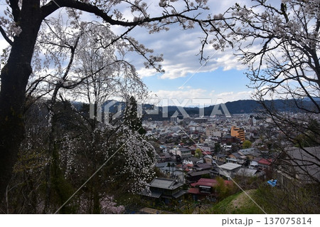 日本の岐阜県の高山市　中心部の中橋方面の美しい町並み　満開の桜と宮川と新旧の家　城山公園から見た眺め 137075814
