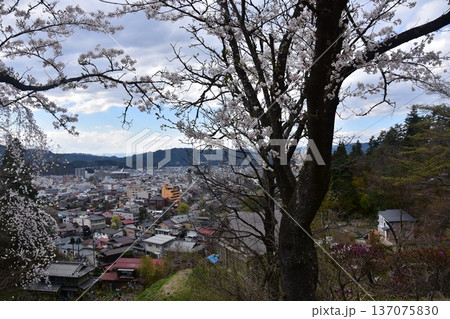 日本の岐阜県の高山市 中心部の中橋方面の美しい町並み 満開の桜と宮川と新旧の家 城山公園から見た眺め 日本の岐阜県の高山市 中心部の中橋方面の美しい町並み 満開の桜と宮川と新旧の家 城山公園から見た眺め 137075830