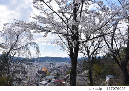 日本の岐阜県の高山市 中心部の中橋方面の美しい町並み 満開の桜と宮川と新旧の家 城山公園から見た眺め 日本の岐阜県の高山市 中心部の中橋方面の美しい町並み 満開の桜と宮川と新旧の家 城山公園から見た眺め 137076095