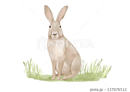 Watercolour cute rabbit on grass. Woodland hand drawn isolated illustration, animal on lawn for cards and posters. 137076512