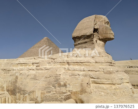スフィンクス 137076525