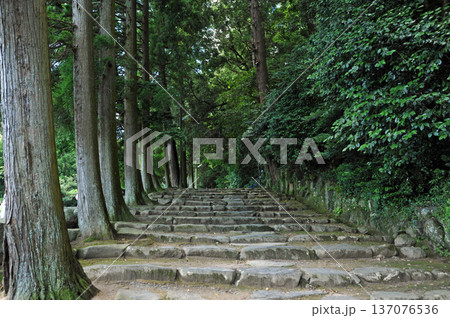 出雲 神魂神社 出雲 神魂神社 137076536