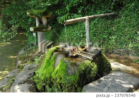 出雲 神魂神社 出雲 神魂神社 137076540
