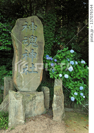 出雲　神魂神社 137076544