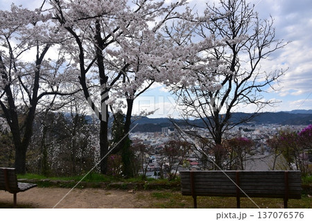 日本の岐阜県の高山市 中心部の中橋方面の美しい町並み 満開の桜と公園のベンチ 城山公園から見た眺め 日本の岐阜県の高山市 中心部の中橋方面の美しい町並み 満開の桜と公園のベンチ 城山公園から見た眺め 137076576