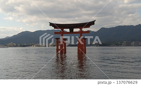海上に高々と立つ厳島神社大鳥居 137076629